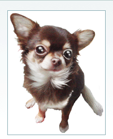 �A�[�g�p���`���O���H��E�ʐ^2